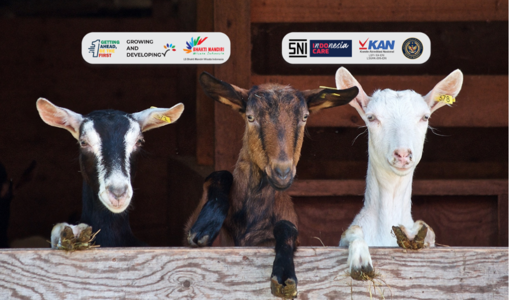 Batas Nisab Zakat Kambing