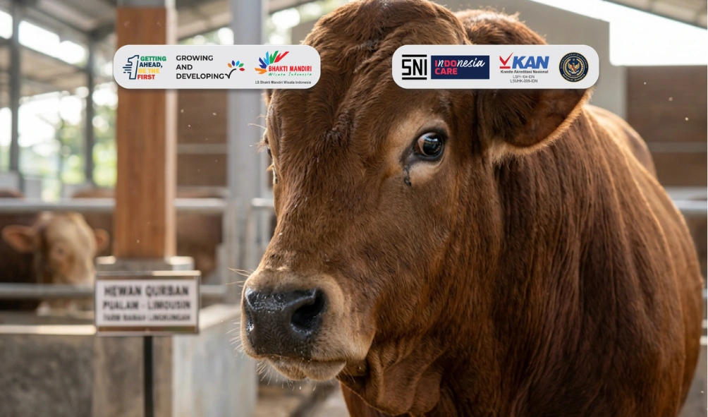 lebaran haji 2026 kapan